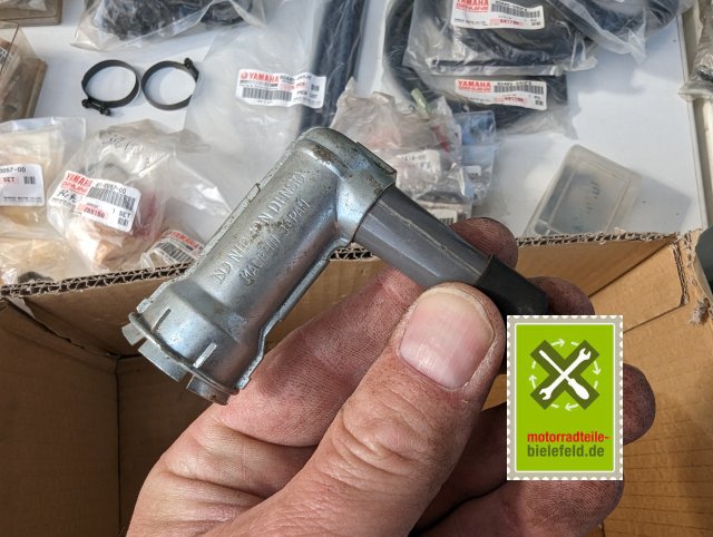 PXL_20240528_153735909